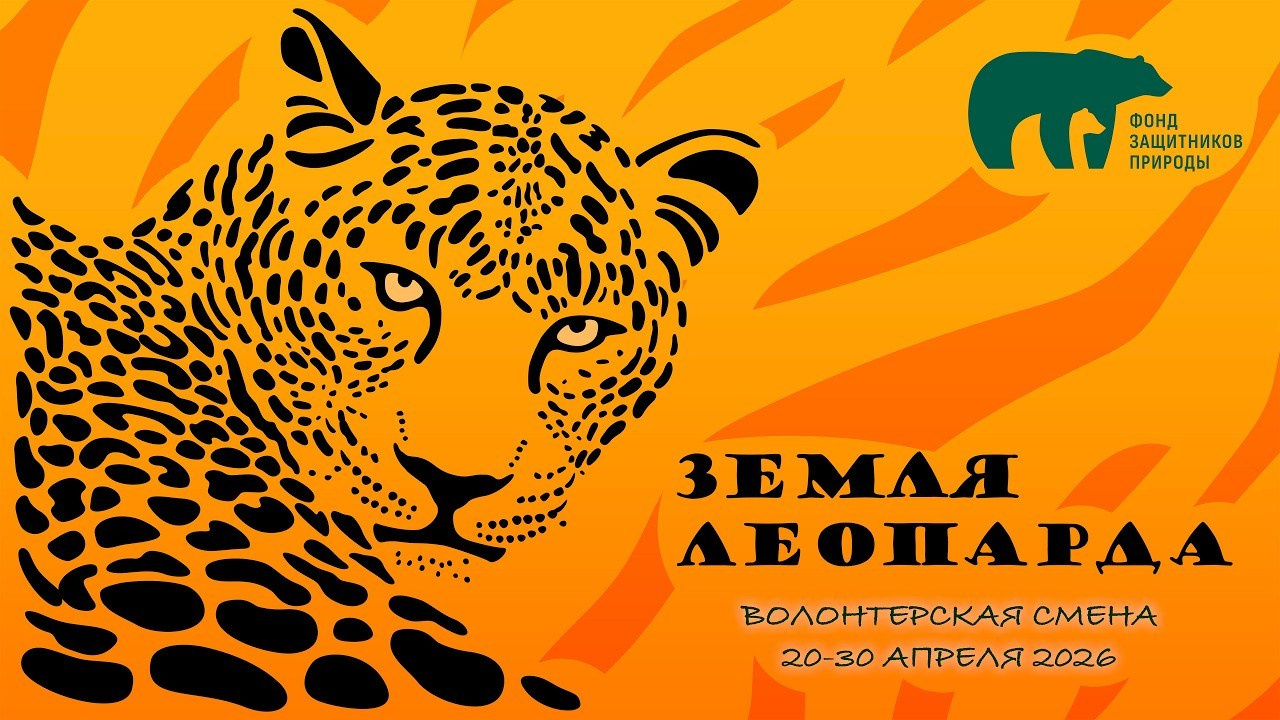 Земля Леопарда. Северные Ночи