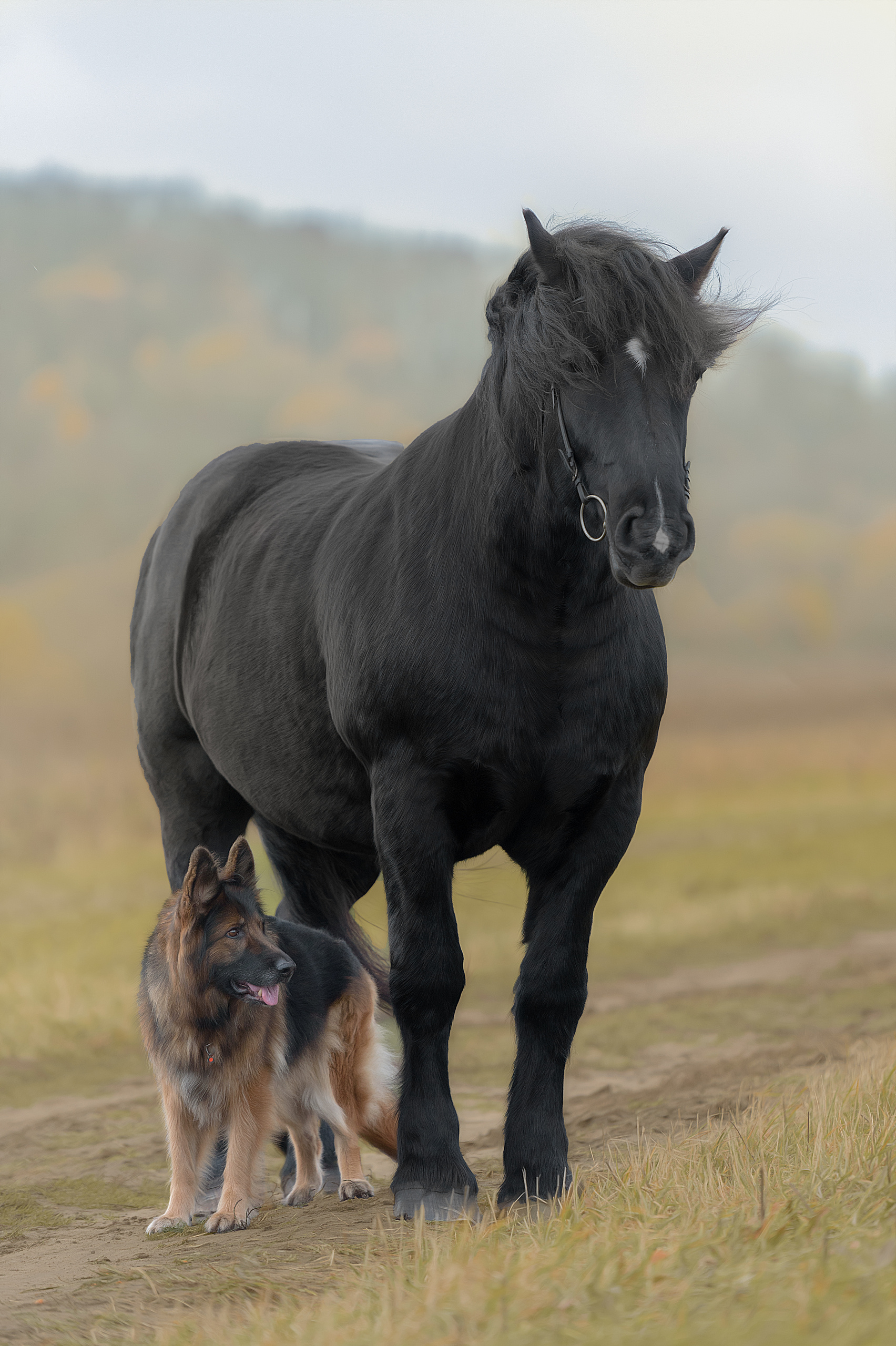 Фотограф анималист в Санкт-Петербурге Ирина Ковалева