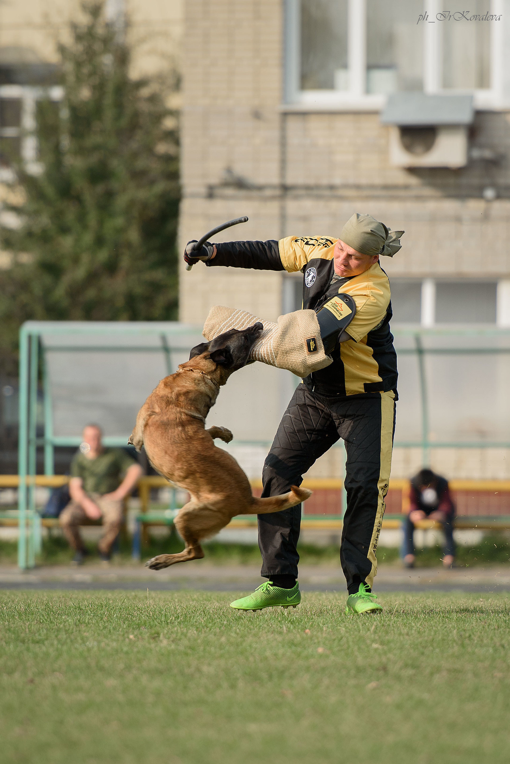 Фотограф анималист в Санкт-Петербурге Ирина Ковалева