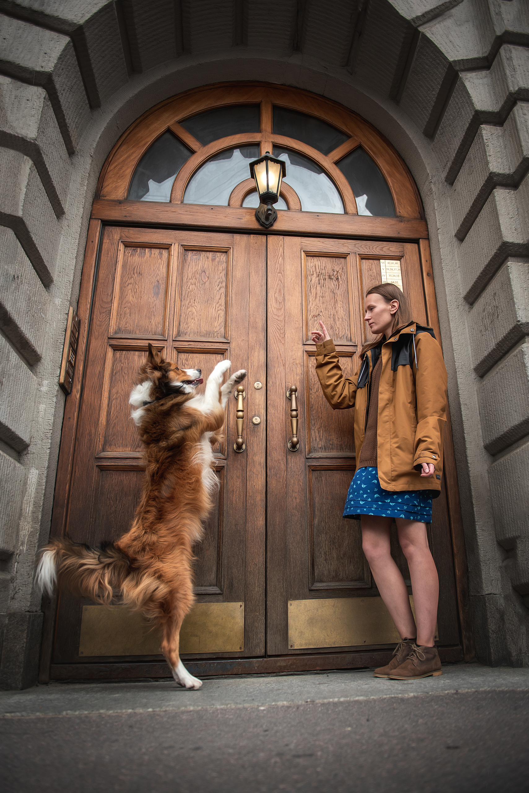 Фотограф анималист в Санкт-Петербурге Ирина Ковалева