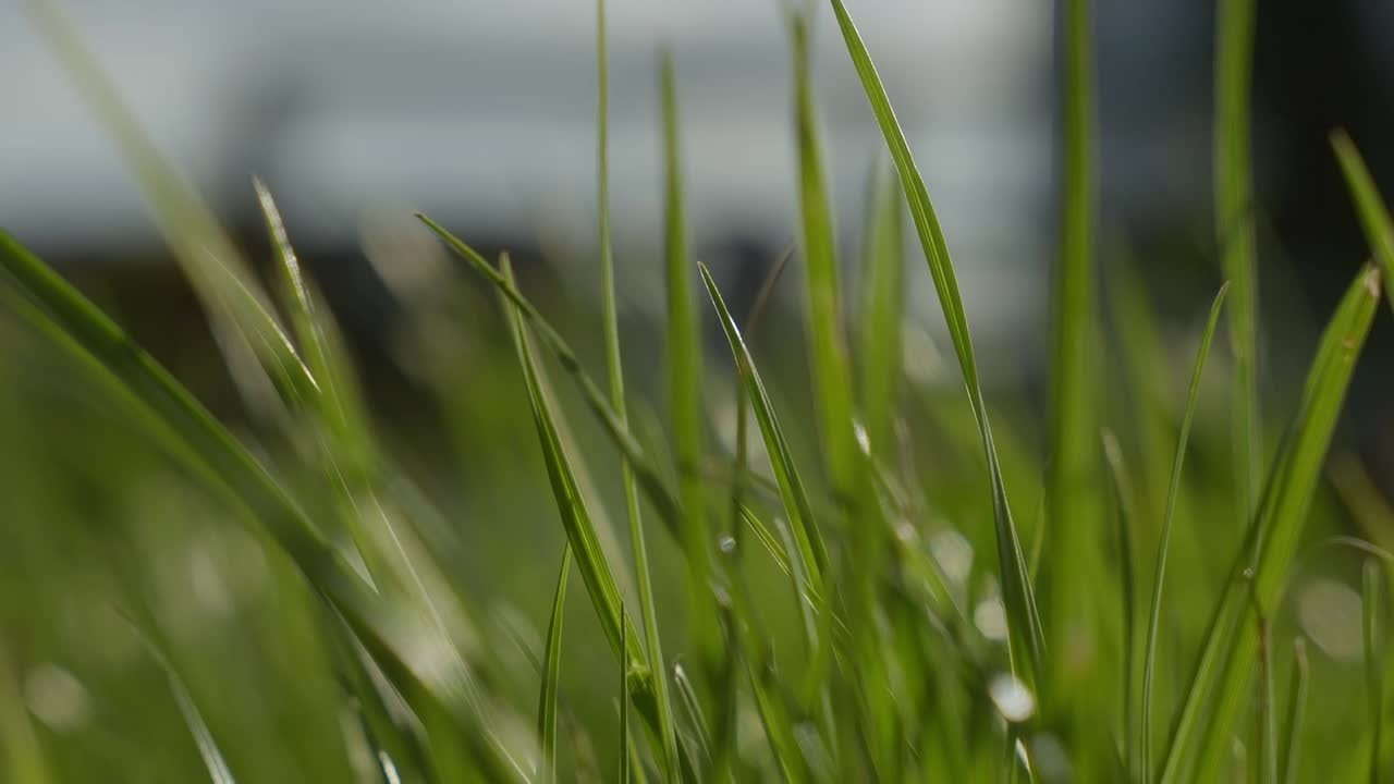 Свадьба Юлия и Иван