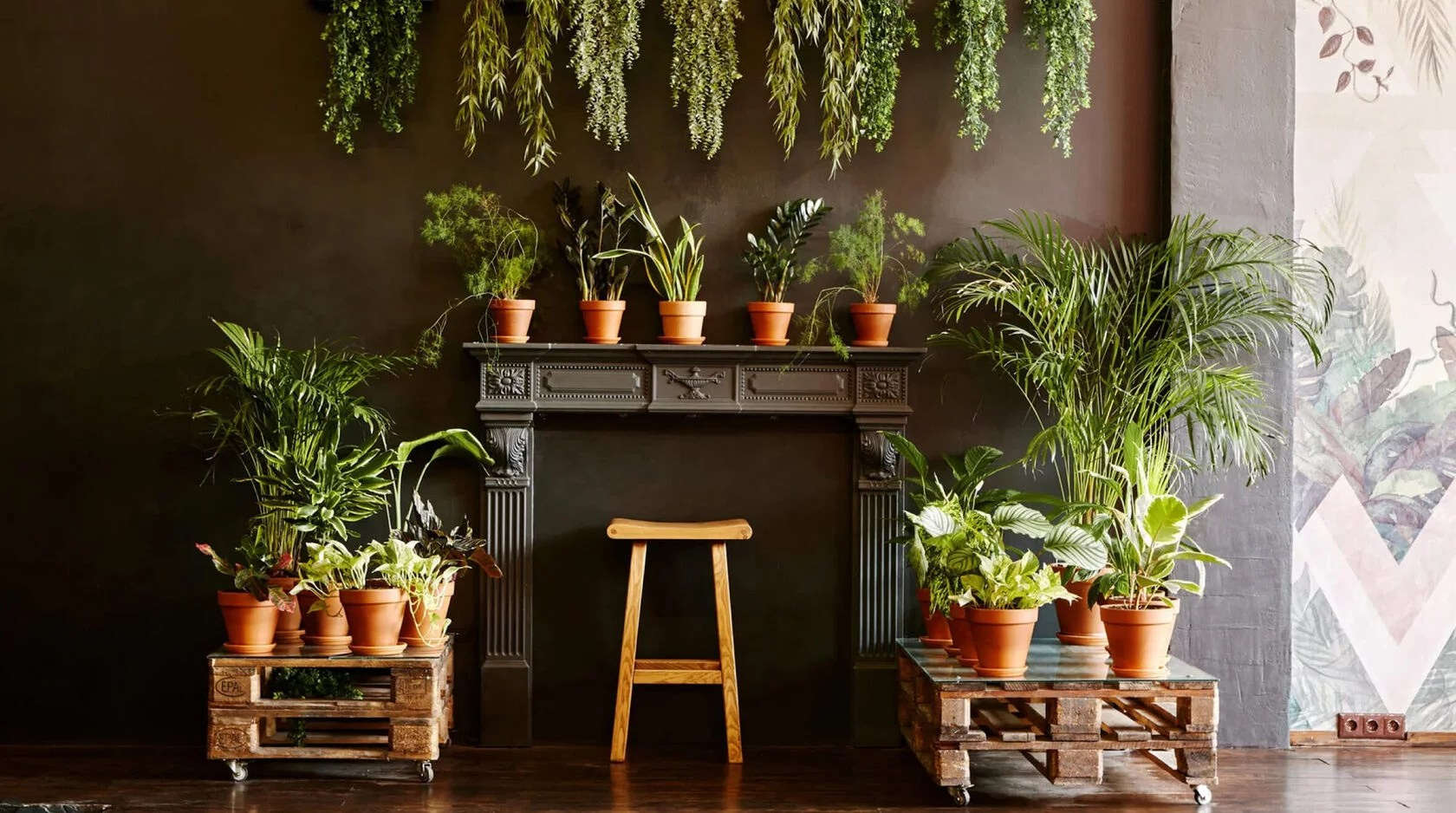 Лучшие фотостудии Москвы. Фото и видео Москва, Московский. Свадебный фотограф, видеограф, фотосессии, видеосъемка