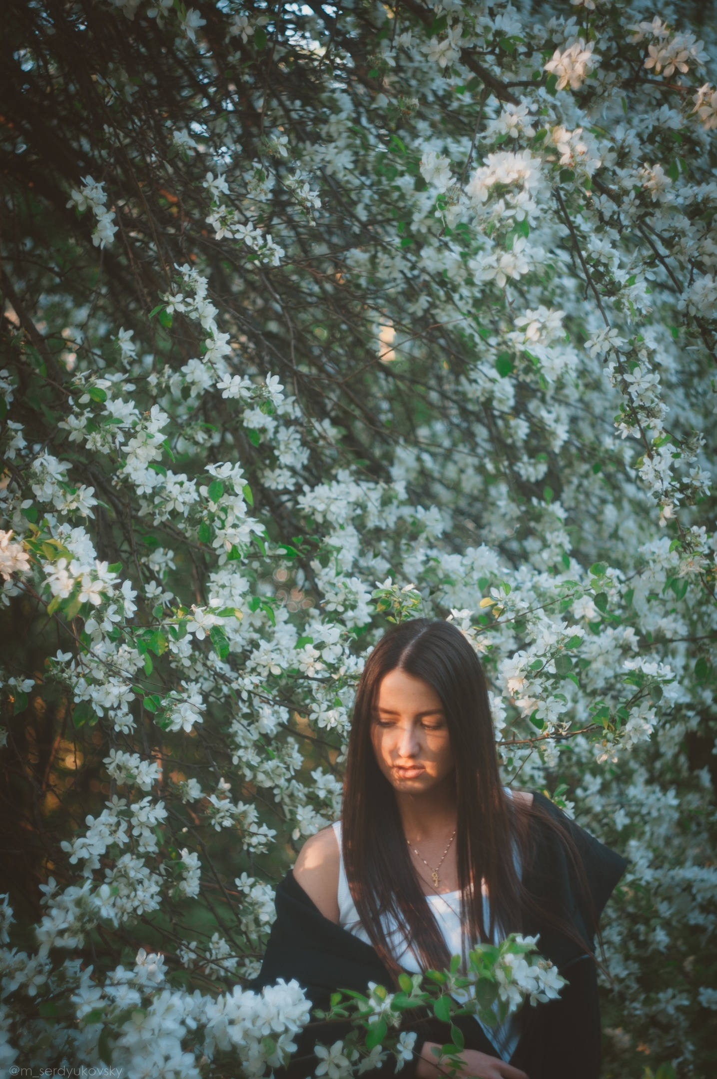 Даша. Фотограф Сердюковский Михаил
