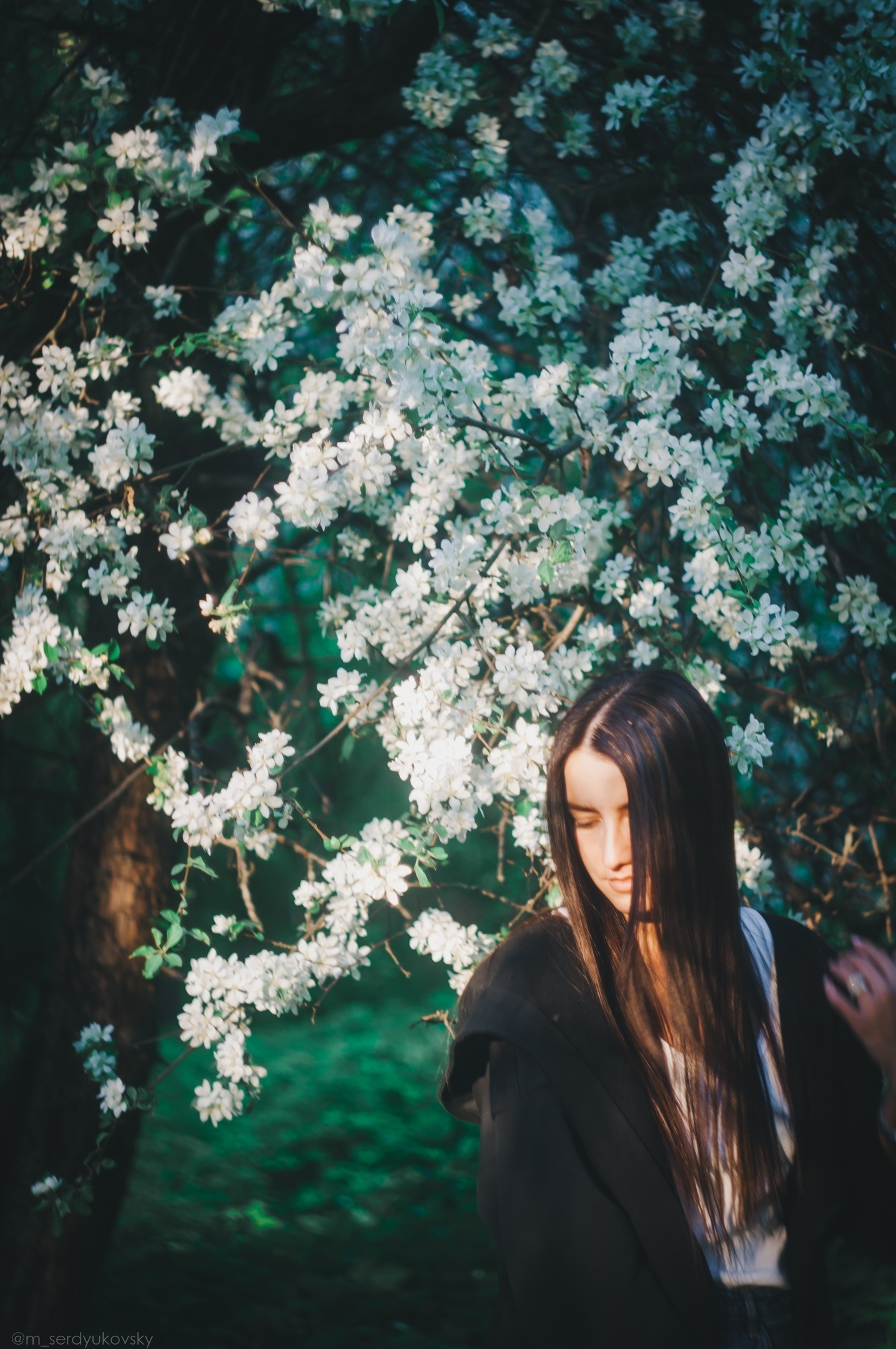 Даша. Фотограф Сердюковский Михаил