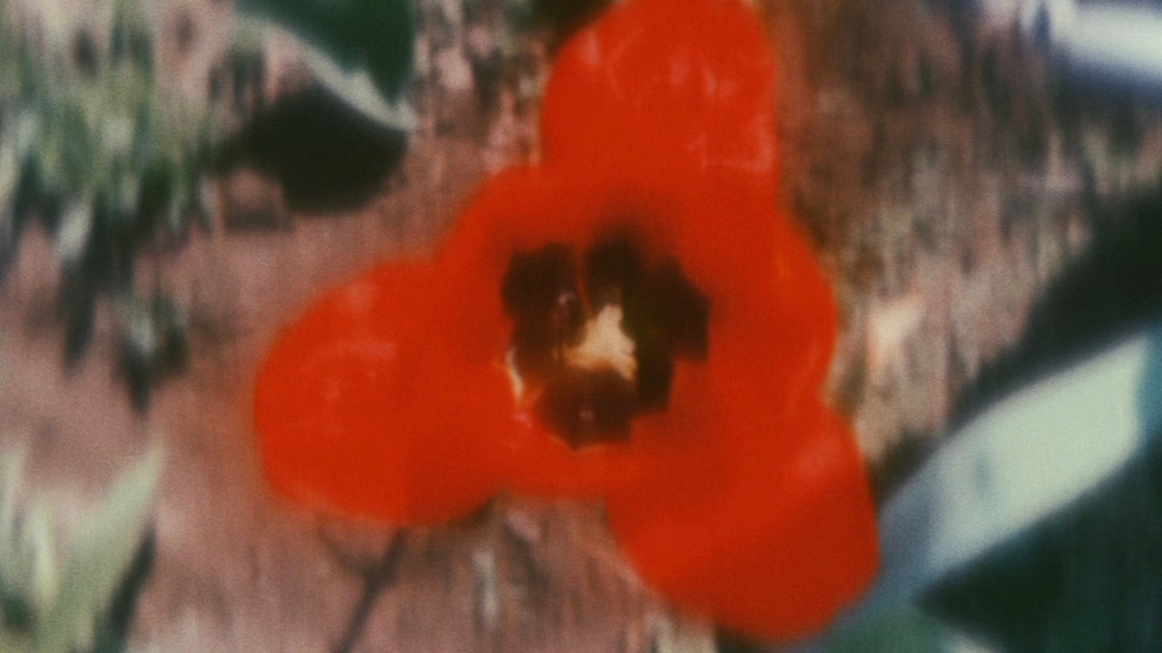 FILMS. Uvaliss | Alice Feer