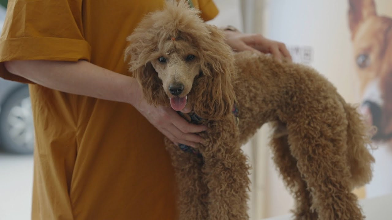 Видеопродакшн. Ekhovanov | фото- видеосъемка