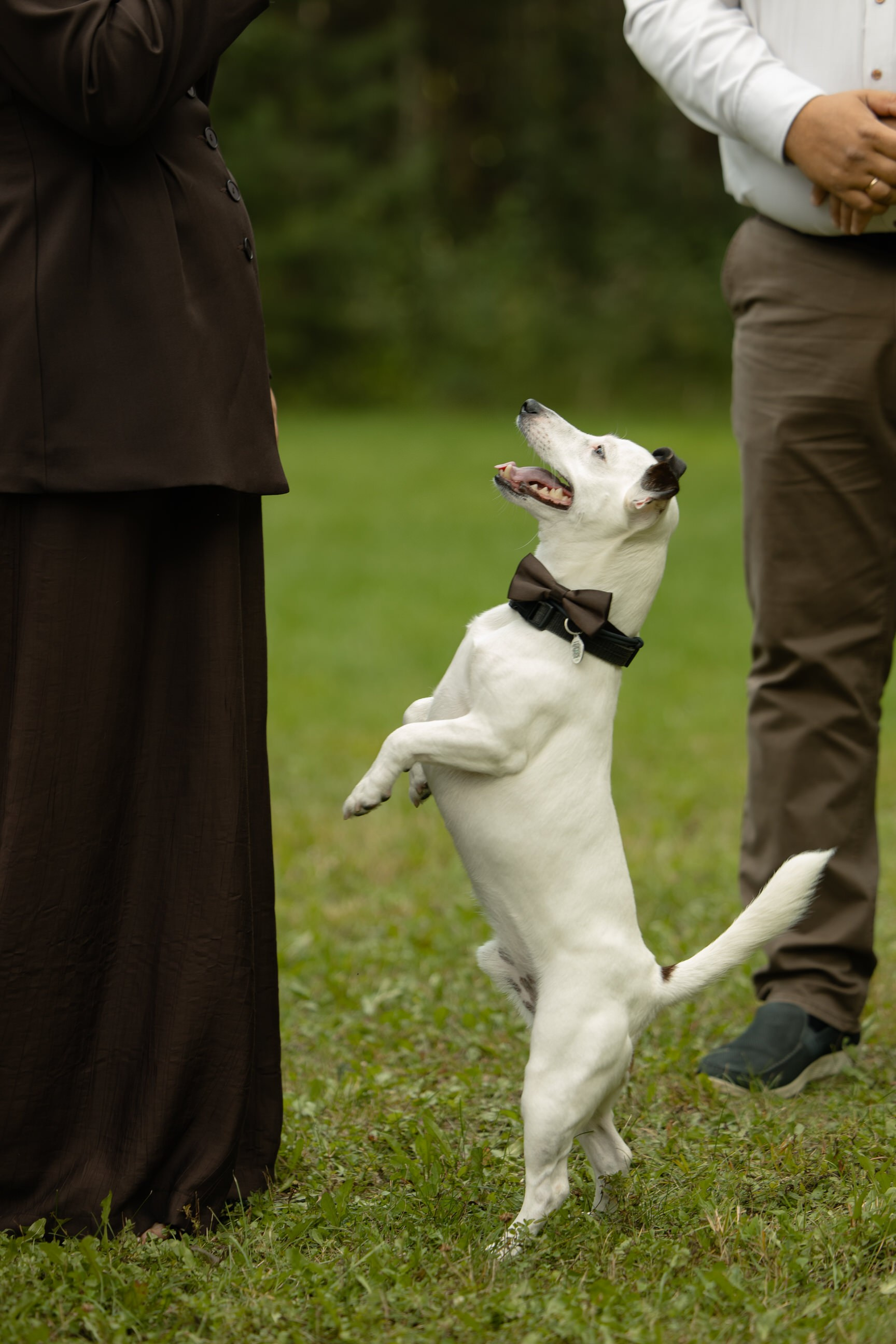 Софья & Виктор. Yura Rush Свадебный фотограф Тюмень