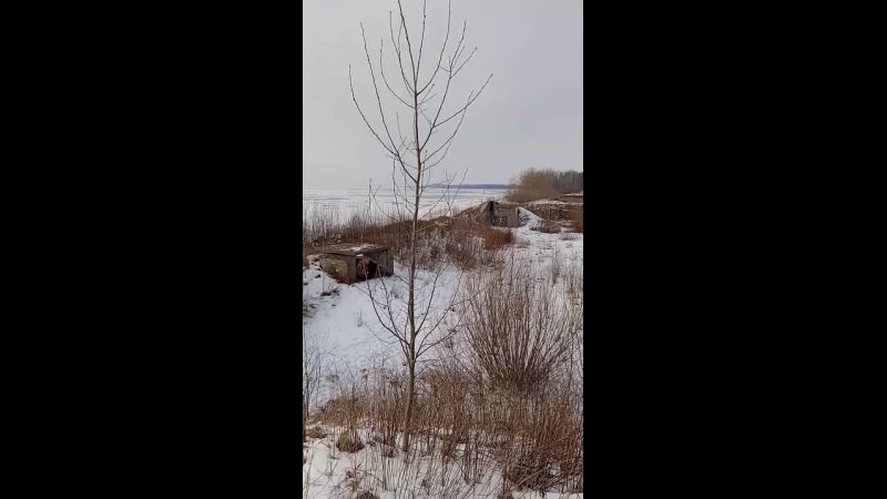 Видео. Павел Шупрут Артист