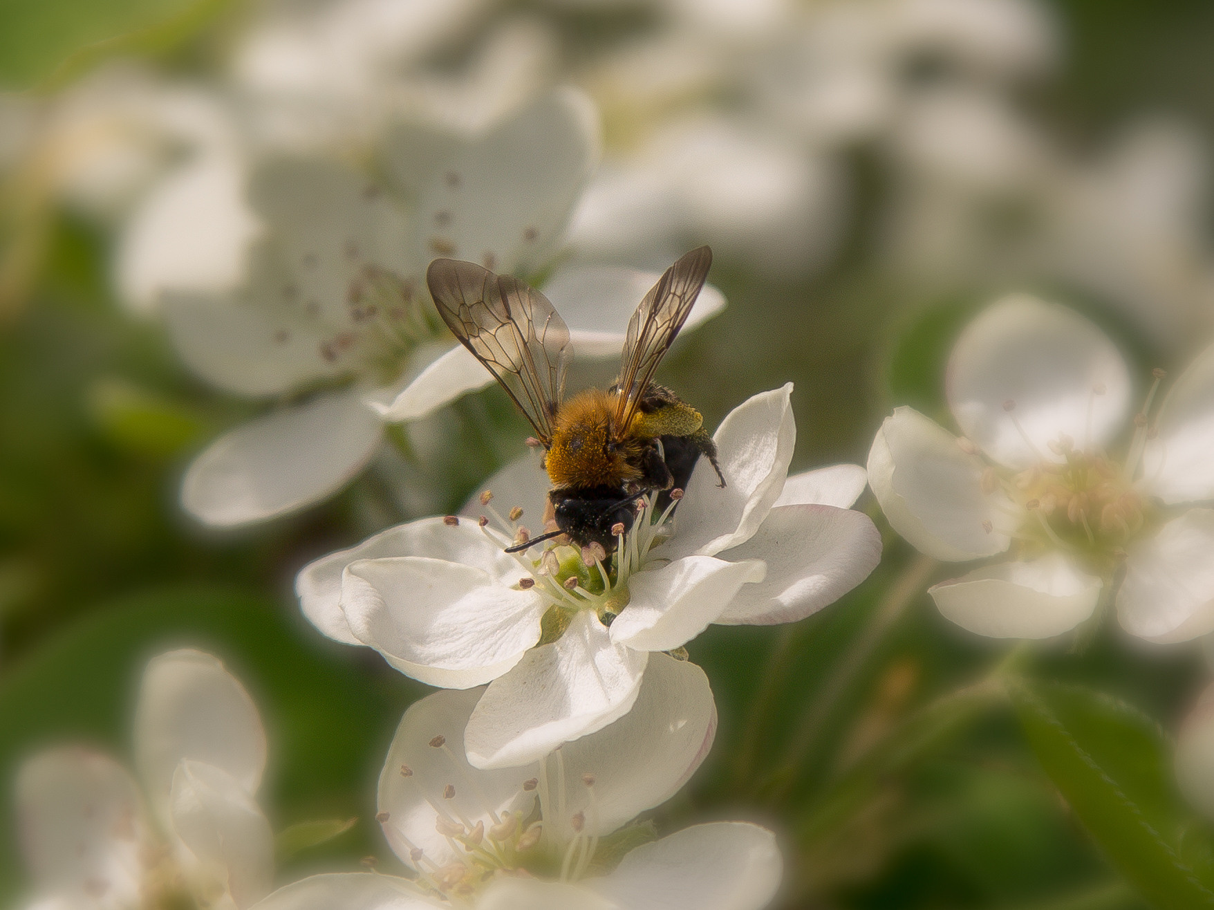 Фото путешественник Хазов Алексей. Новосибирск