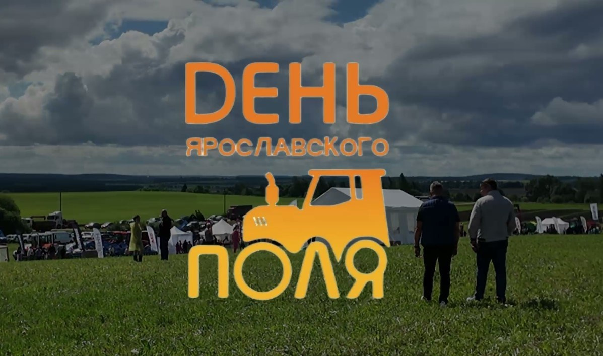 Видеопортфолио. Фото и видеосъёмка в Ярославле | Грибов Медиа контент студия  — от 2500 ₽/час