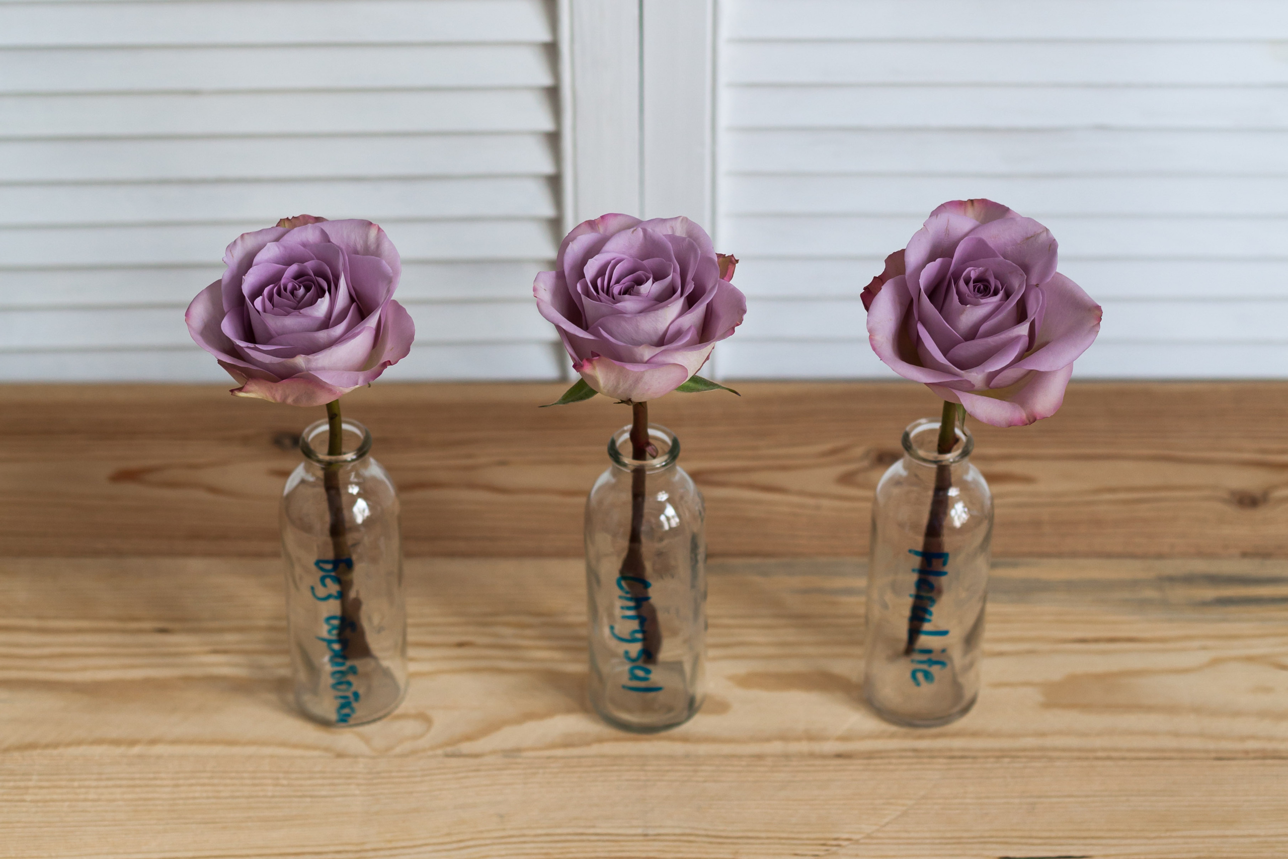 Тестируем средства для финишной обработки цветов. Флорист Маргарита Гладкова