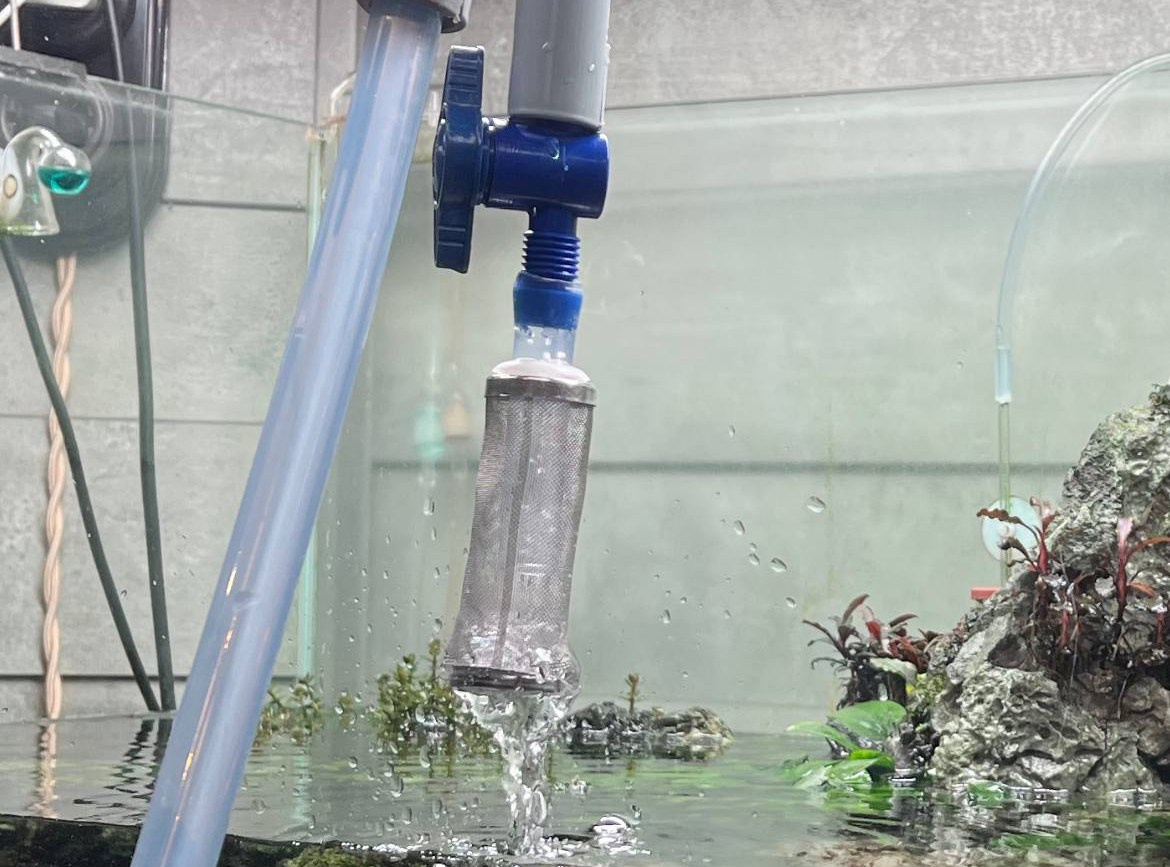 Сколько воды менять в растительном аквариуме?. Home