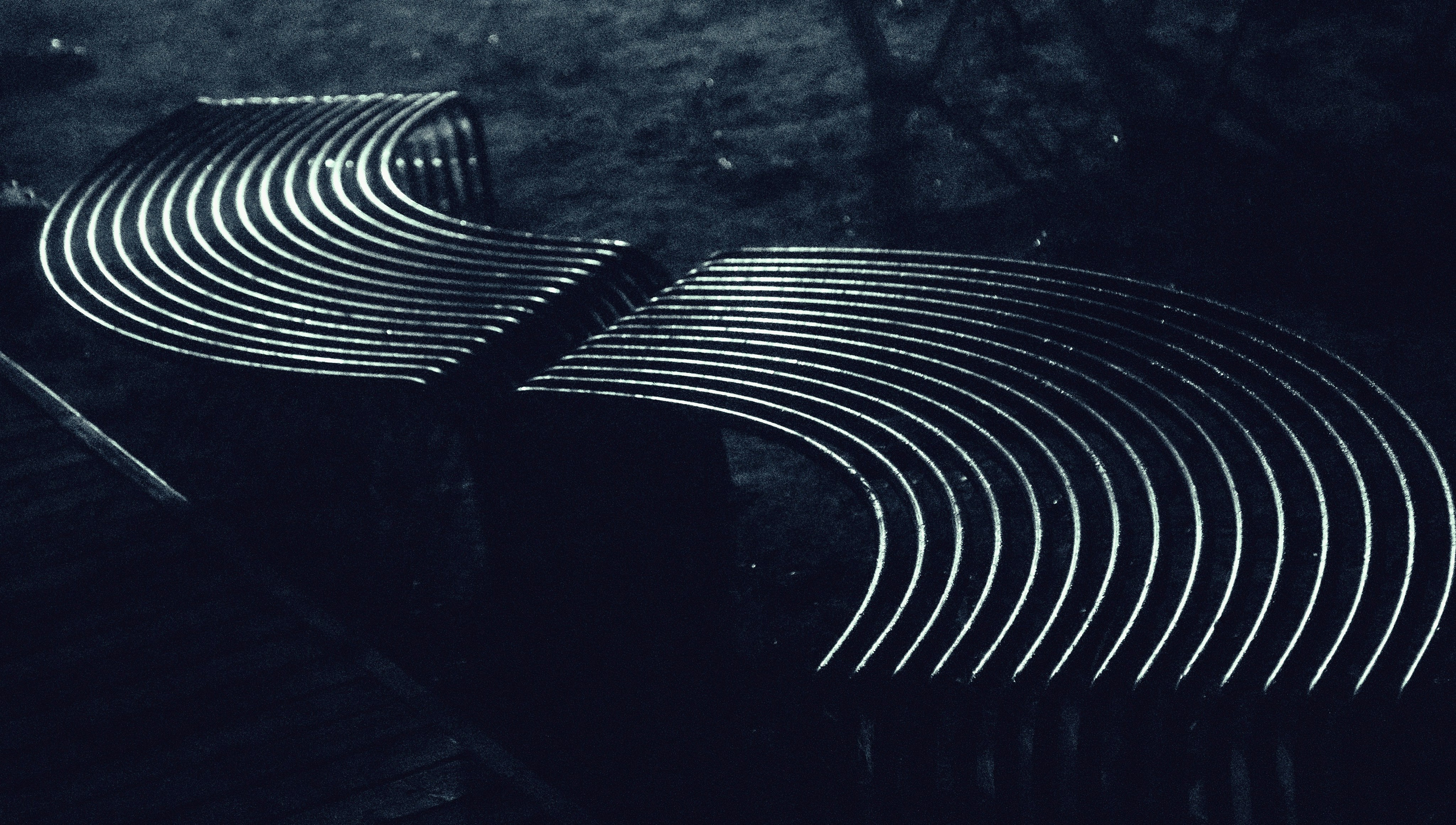 Туман. Фотограф Давыдова Дарья | Xsae_ph