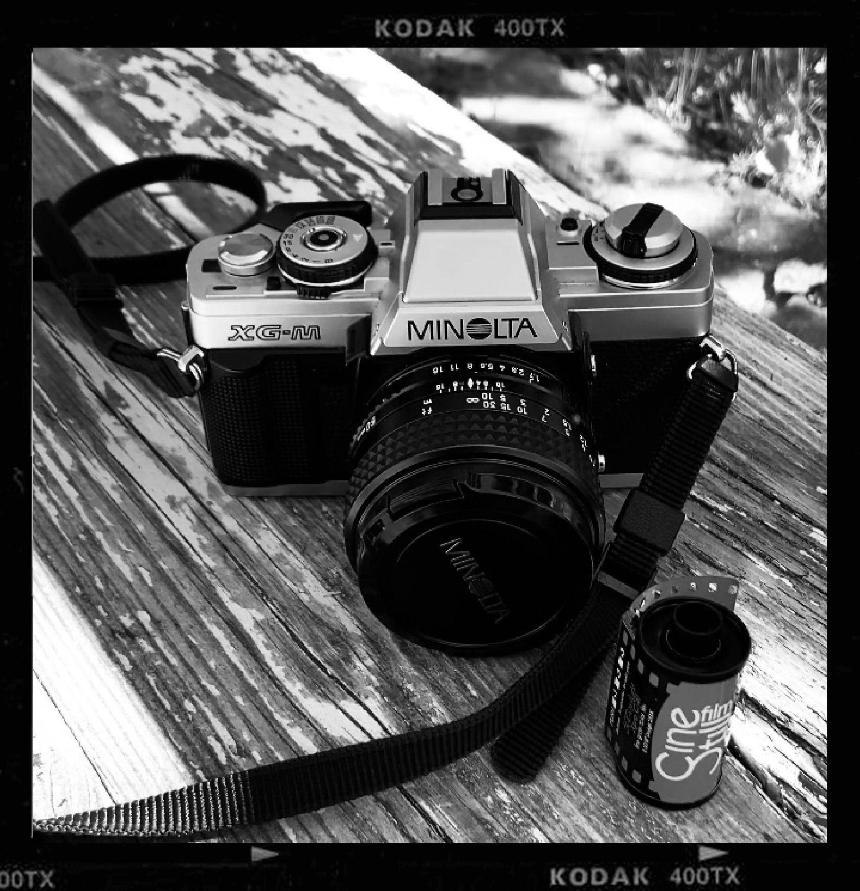 Sasha Avis Photography