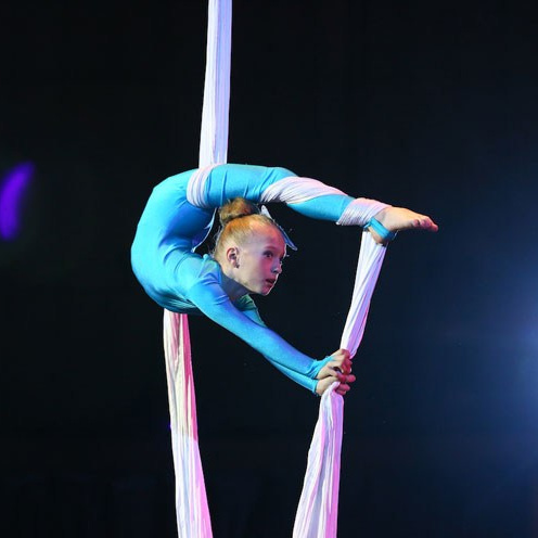 Все вокальные фестивали. Золотые фестивали