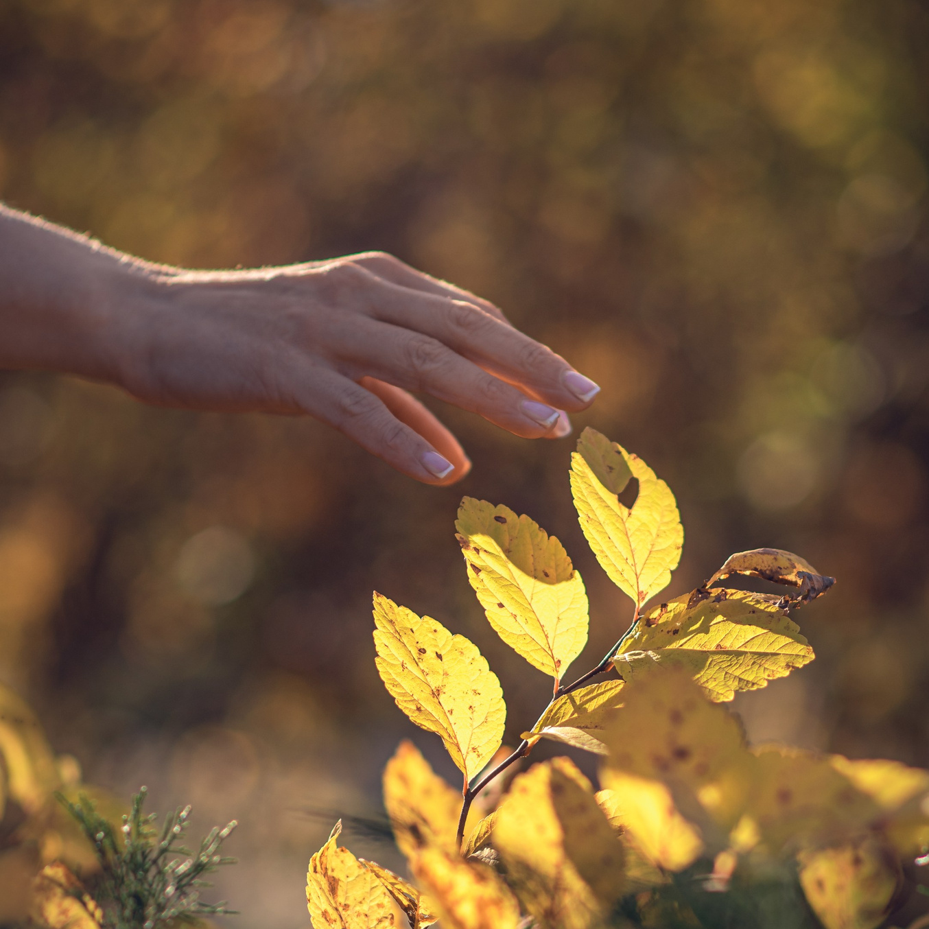 Контакты. Душевная фотография от сердца к сердцу Марина Жиделева фотограф Москва