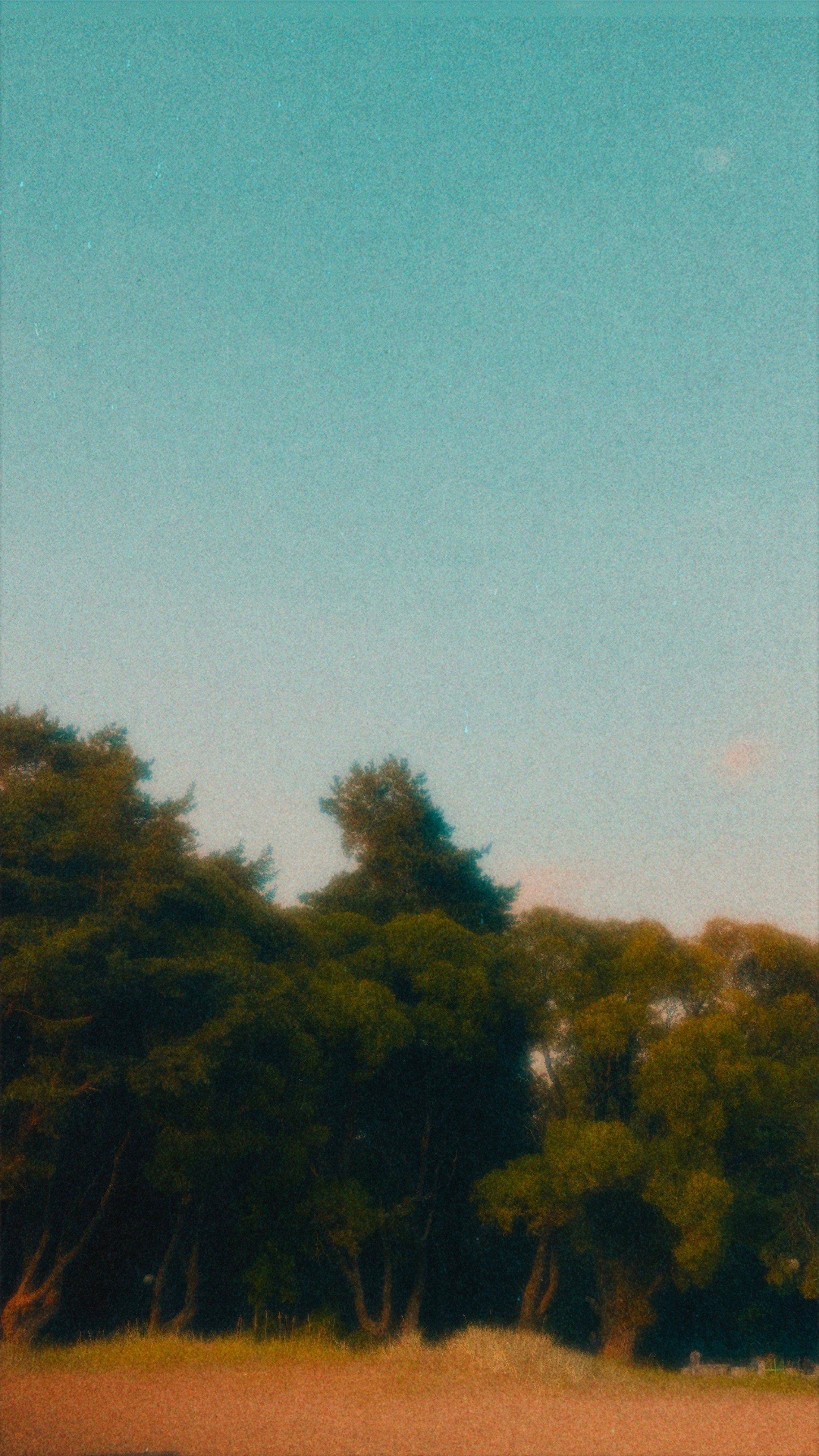 Серии. Visual artist