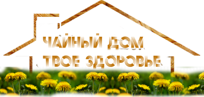 nataly-860.wfolio.pro