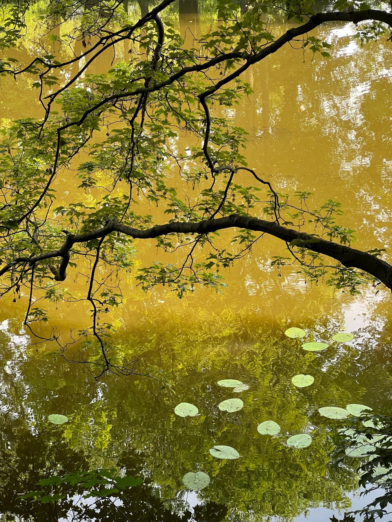 Journal. Photographer Dima Sharov | Фотограф Дима Шаров