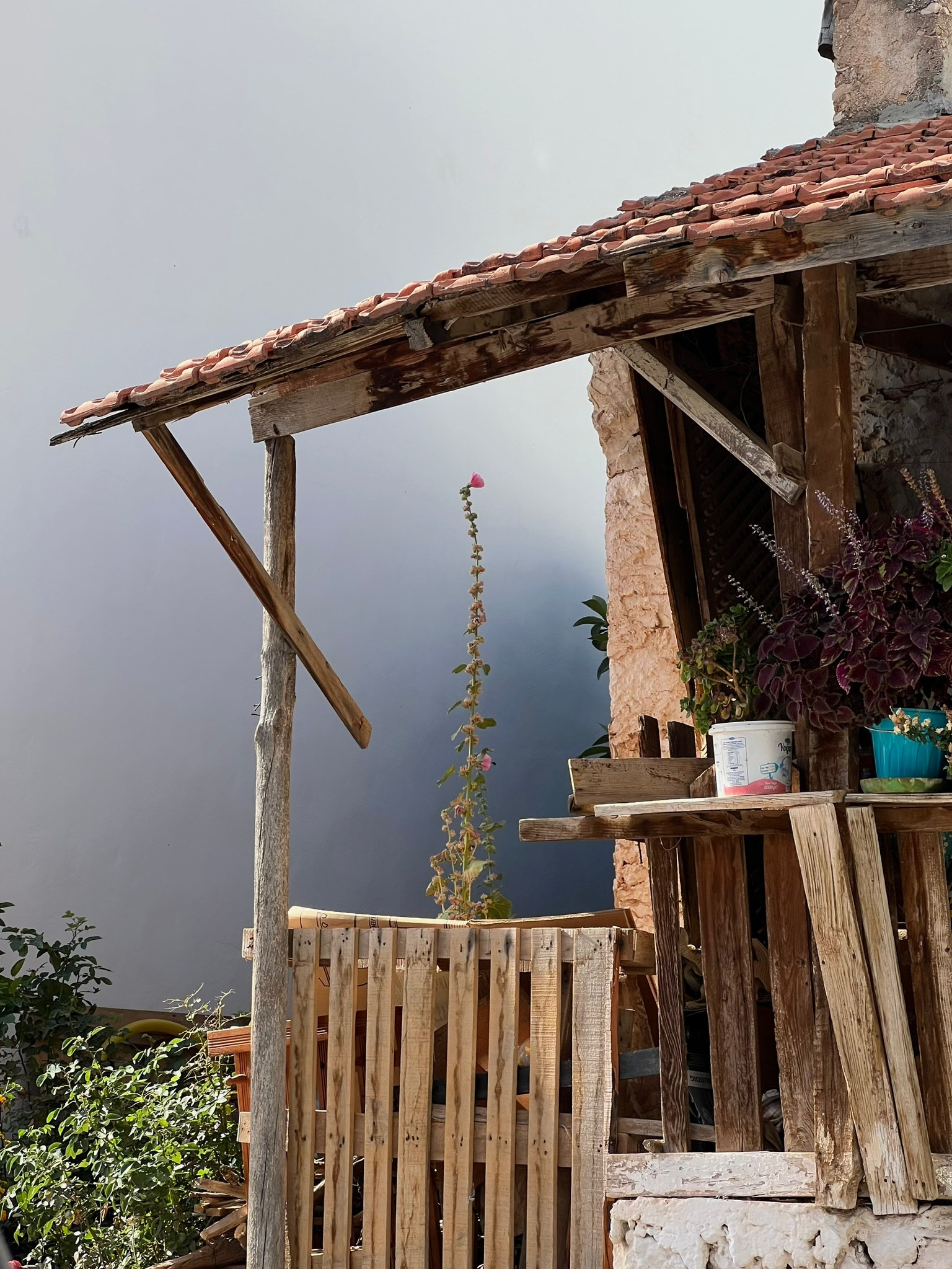 Journal. Photographer Dima Sharov | Фотограф Дима Шаров