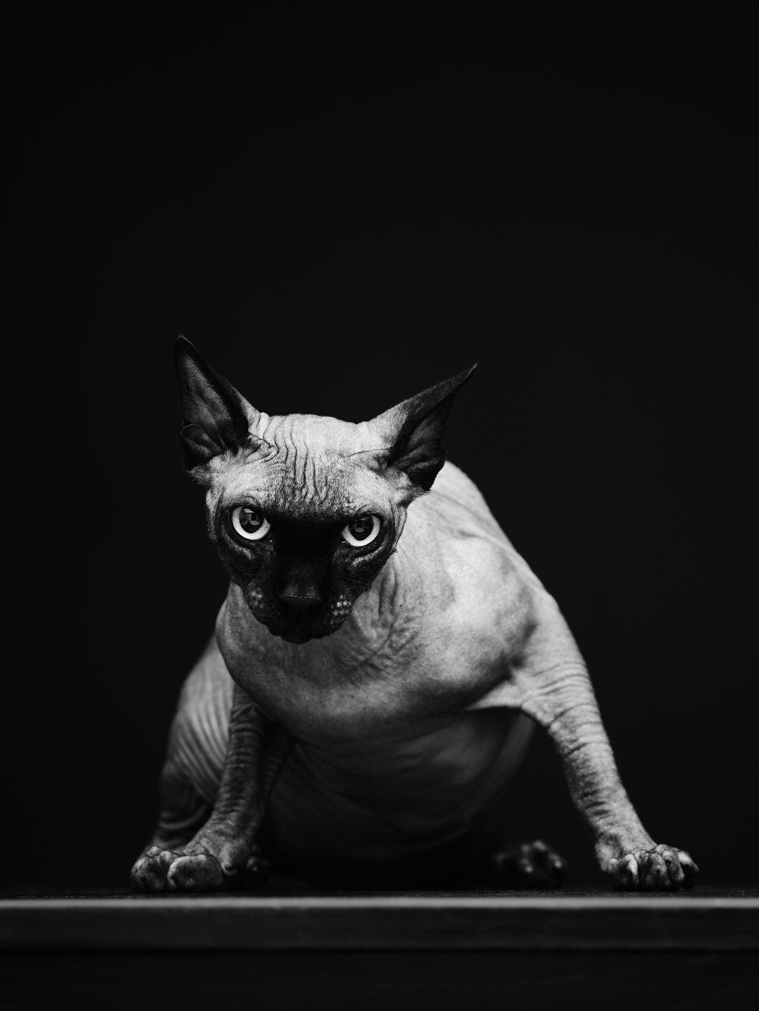 Unminted. Дмитрий Шад