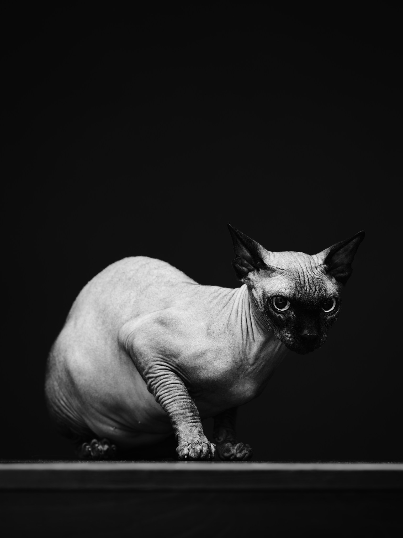 Unminted. Дмитрий Шад