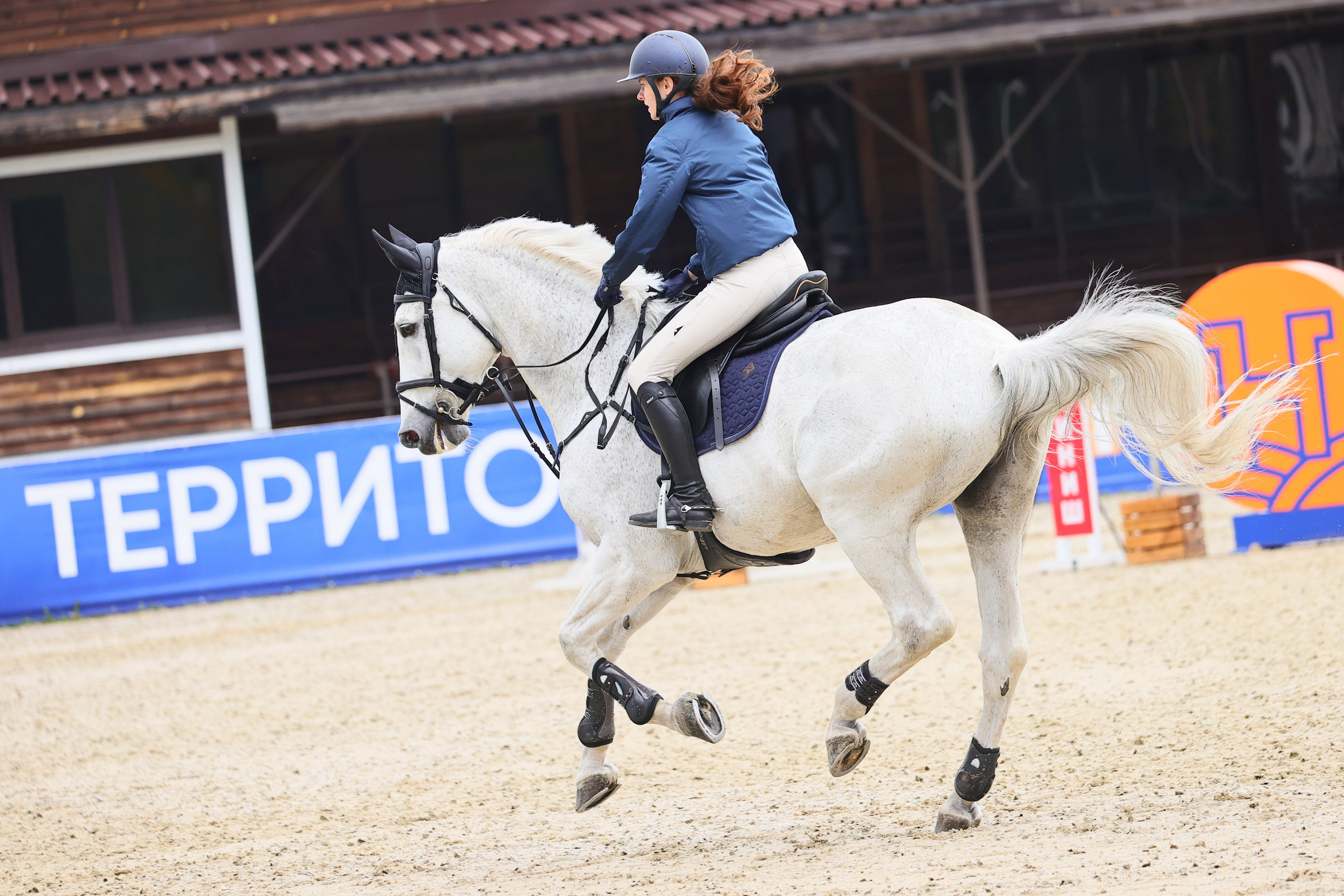 Купить фотографии с турниров. KatymartArt — Equine photography